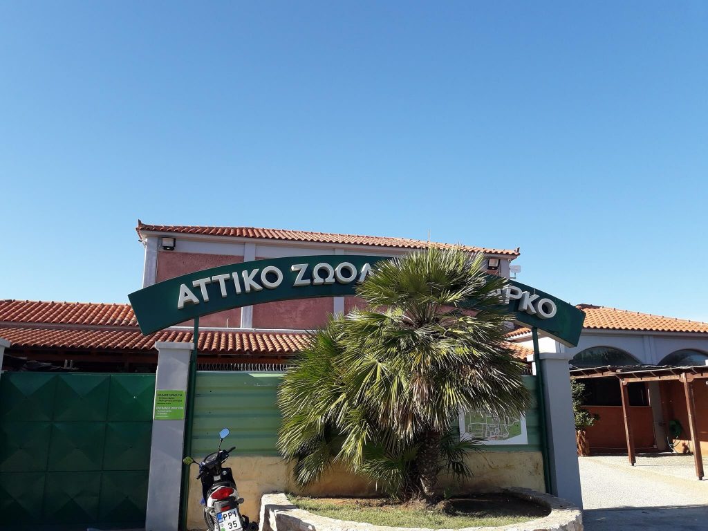 ti-eipe-o-idrytis-tou-attikoy-zoologikoy-parkou-gia-ti-thanatosi-ton-tzagkouar