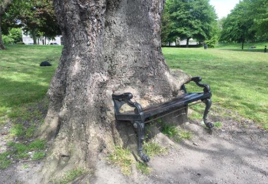 dentro-katapinei-pagkaki