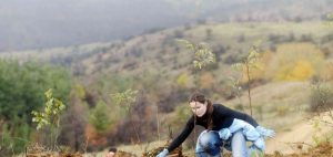 fotia-stin-koroni-drasi-gia-tin-anadasosi-ton-kamenon-sto-vivliopoleio-xarti-kai-molyvi
